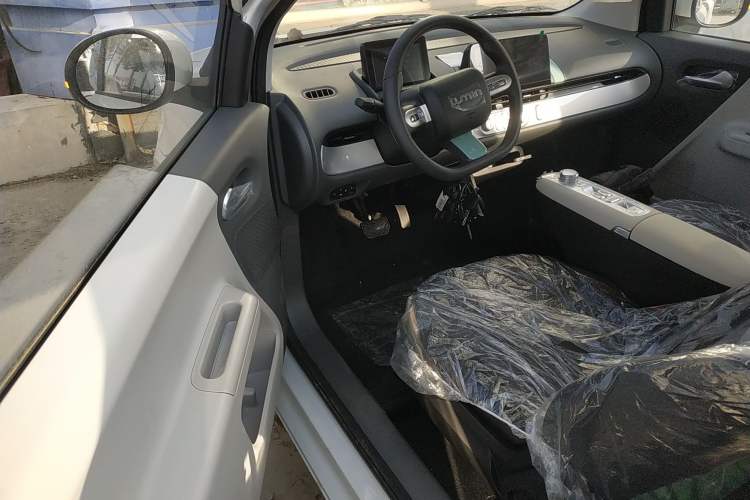 Used Qiyuan Lumin 2025 205 km Xiangqin Version
