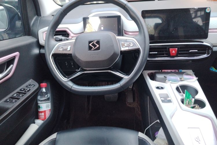 Used SOL E10X 2022 Flower Fairy Style Baby's Breath