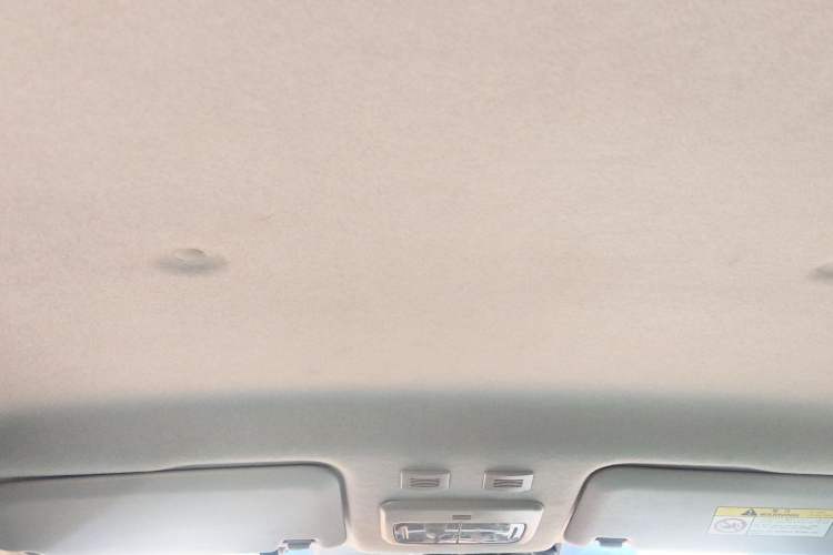 Used ORA Black Cat 2019 351 km Goddess Edition Headliner