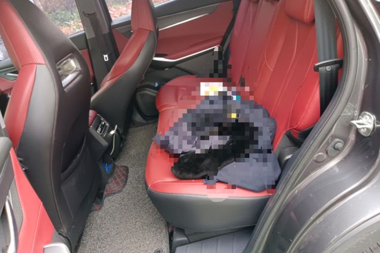 Used CHANGAN CS75 PLUS 2022 2nd Generation 1.5T Automatic Prestige Version Left Rear Seat