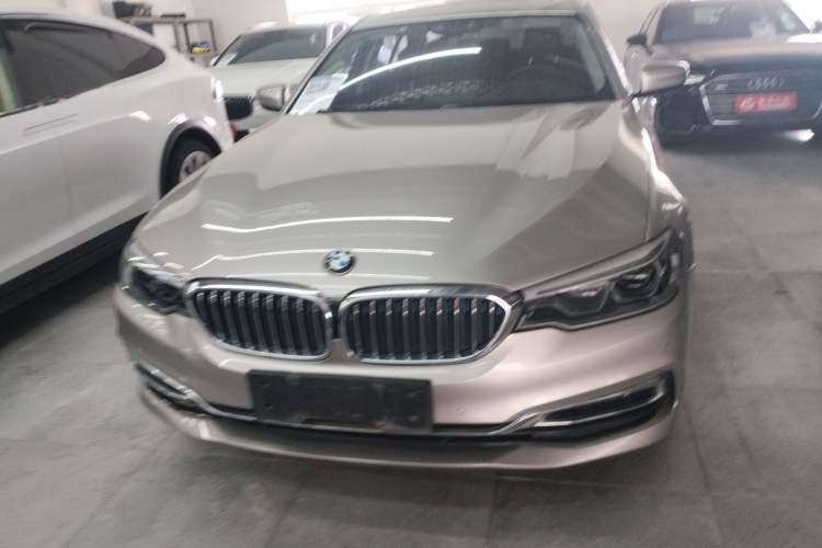 Used BMW 5 Series New Energy 2019 530Le Luxury Package Front