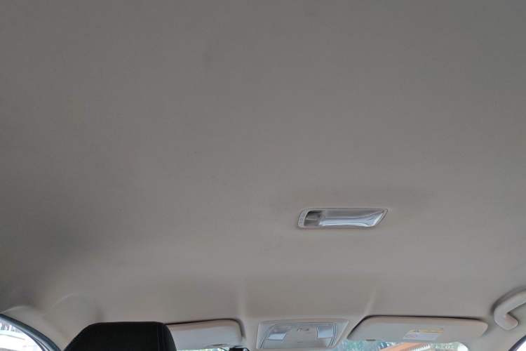 Used Venucia D60EV 2022 Standard Range Smart Drive Version Headliner