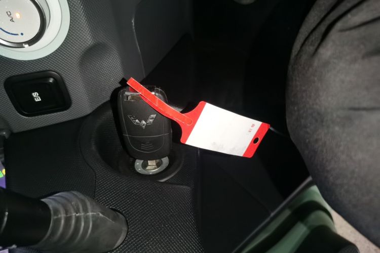 Used Wuling Hongguang MINIEV 2021 Macaron Fashion Model Lithium Iron Phosphate