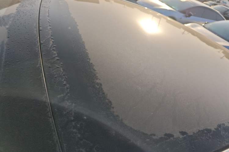 Used Tesla Model Y 2022 Performance High-Performance All-Wheel-Drive Version