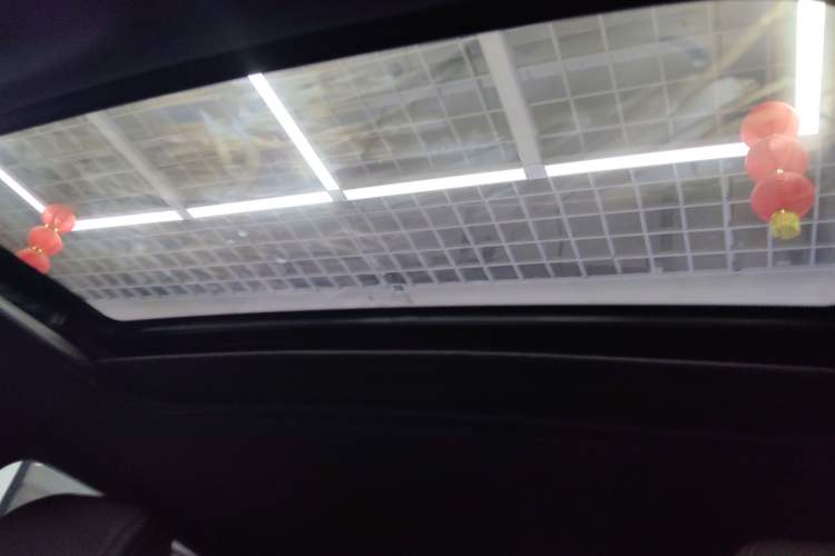 Used Buick Verano 2023 Pro GS Hunter Wind Edition Headliner