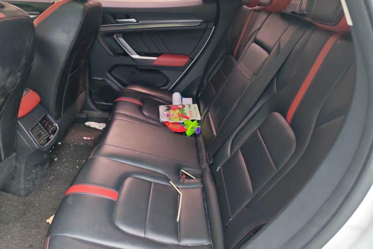 Used Haval H4 2018 Red-Label 1.5 GDIT DCT Fashion Edition Left Rear Seat