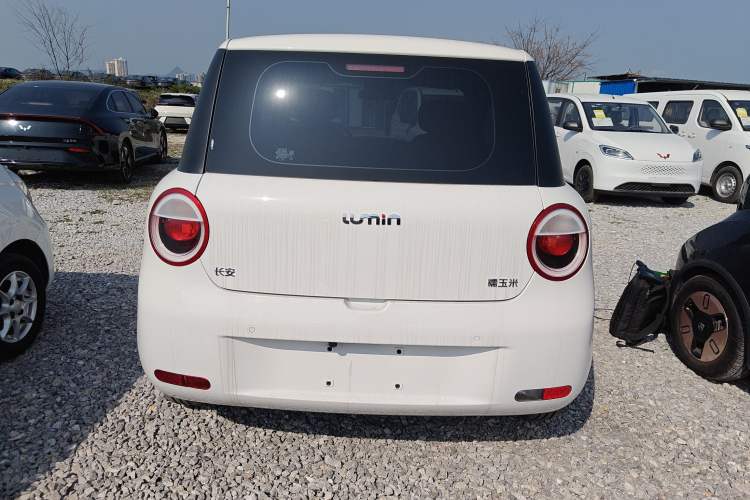 Used Qiyuan Lumin 2026 Model Treasure Edition 301km Cherished Beige Ningde