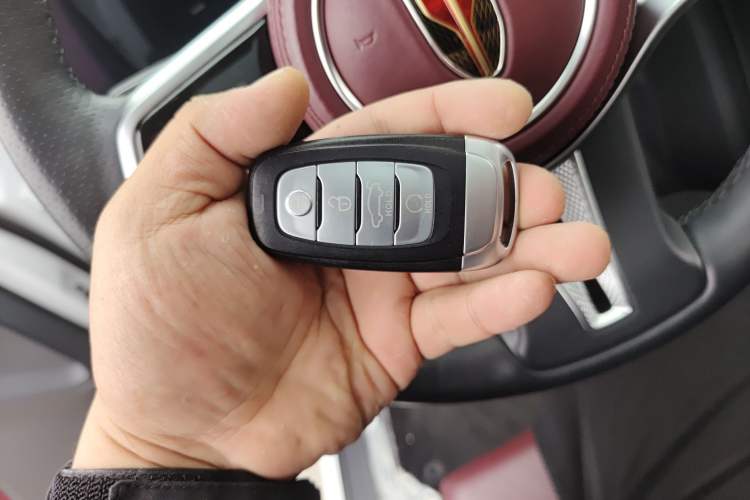 Used Hongqi E-HS9 2021 460 km Range Flagship Edition Six-Seater
