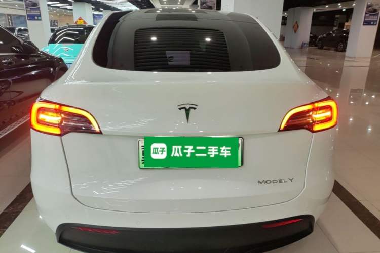 Used Tesla Model Y 2021 Standard Range Rear-Wheel Drive Version Rear