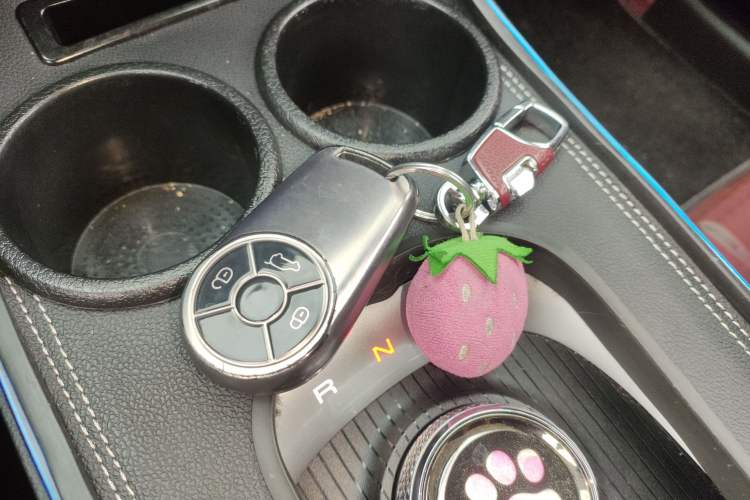 Used ORA Good Cat GT 2022 Mulan Edition 480km Long-Range续航 Vehicle Key