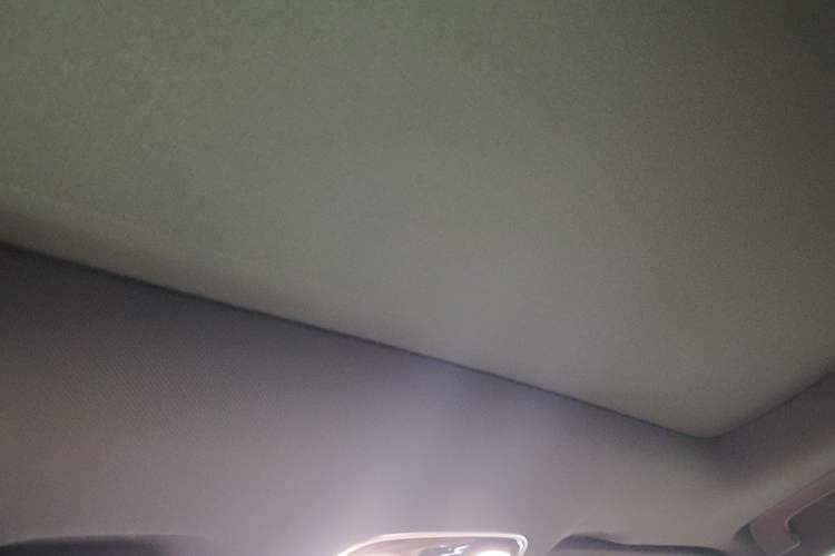 Used Li Auto ONE 2020 Extended-Range 6-Seater Version Headliner