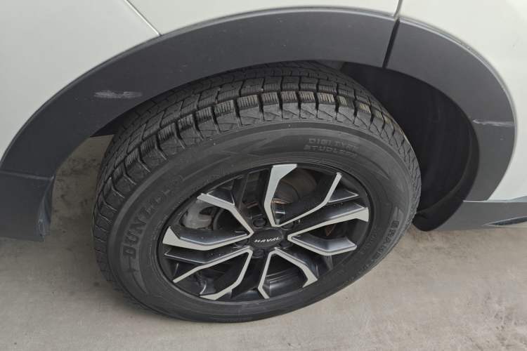 Used Haval H6 2023 National Trend Edition 1.5T Automatic Urban Version
