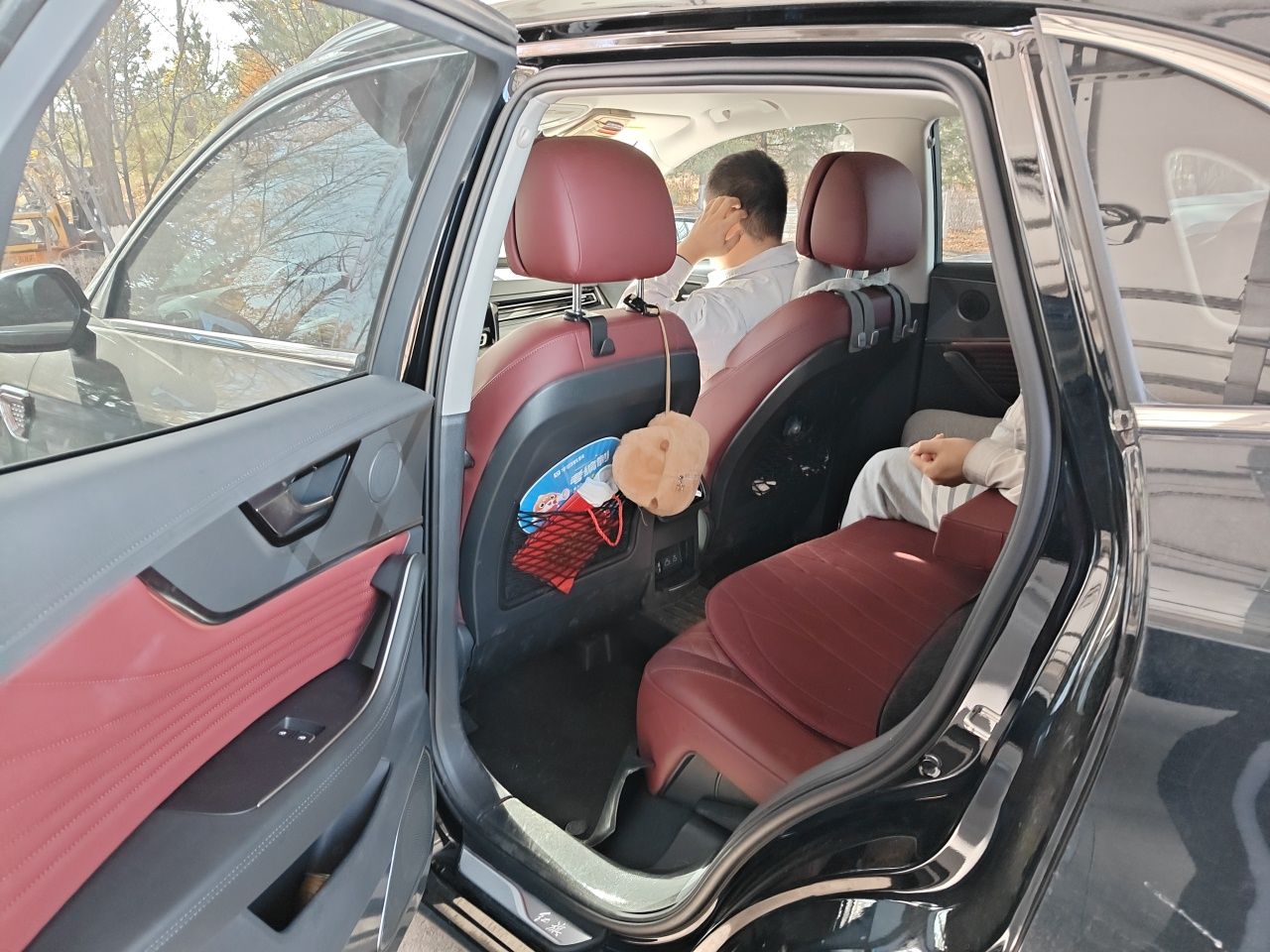 Hongqi HS5 2023 2.0T Qixiang Pro Edition — снимка 17