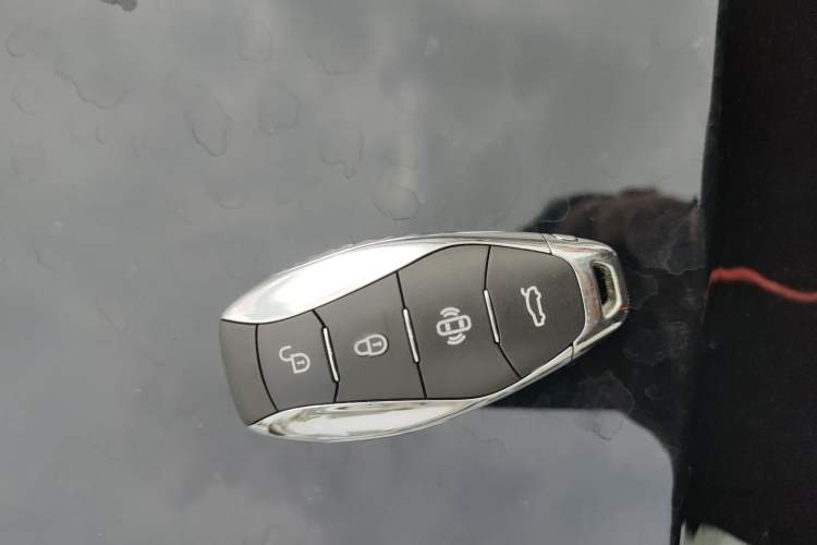 Used Hongqi H9 2024 2.0T Qichang Private Enjoyment Luxury Edition
