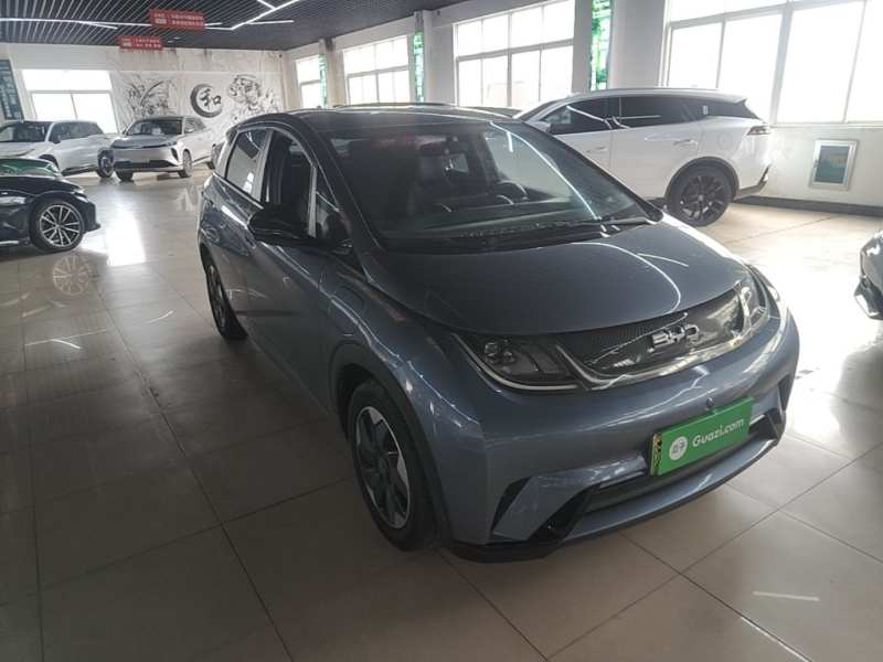 Used BYD Dolphin 2024 Honor Edition 420km Freedom Version — 3