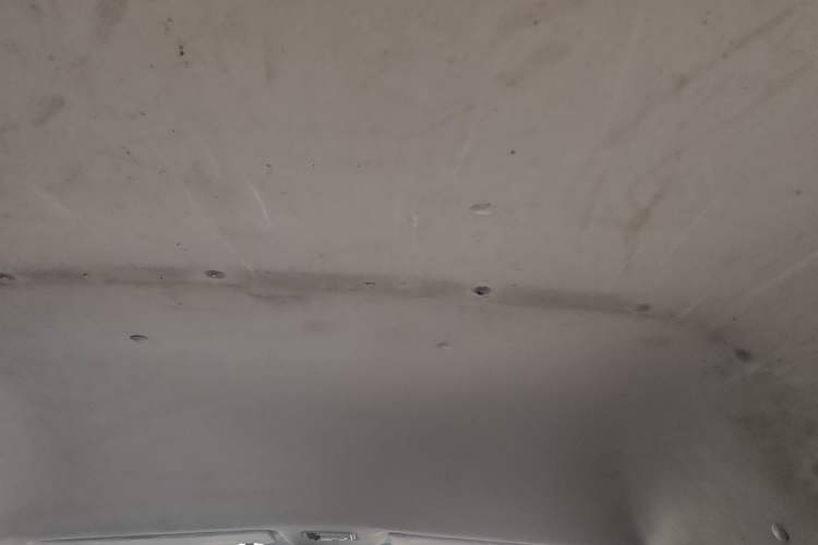 Used Foton Scenic G7 2016 2.0L Commercial Edition Long Wheelbase High-Roof 4Q20M
