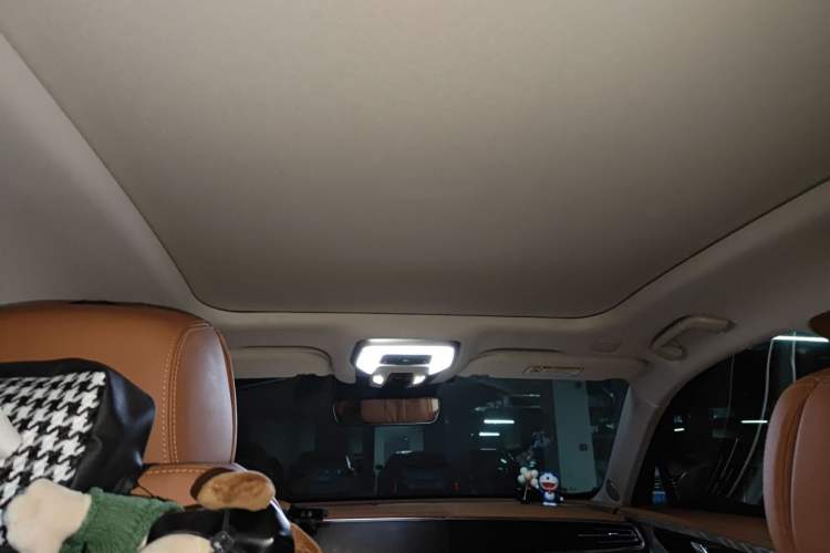 Used Hongqi H9 2020 2.0T Smart Connect Flagship Edition Headliner