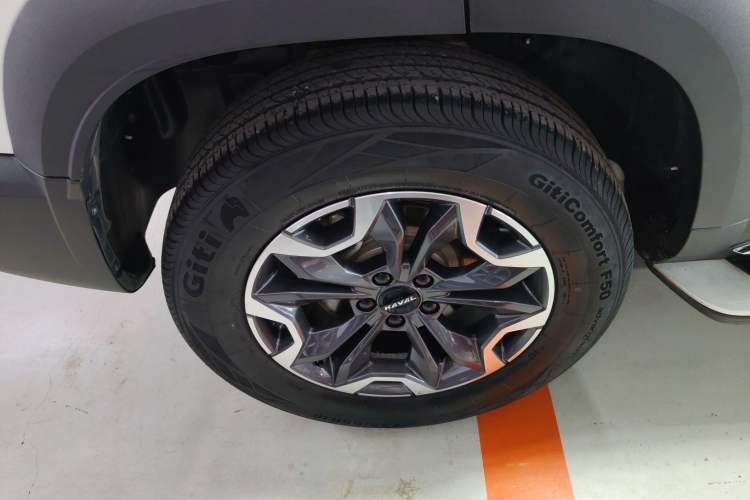 Used Haval DARGO 2021 2.0T DCT 4x4 Chinese Rural Dog Edition