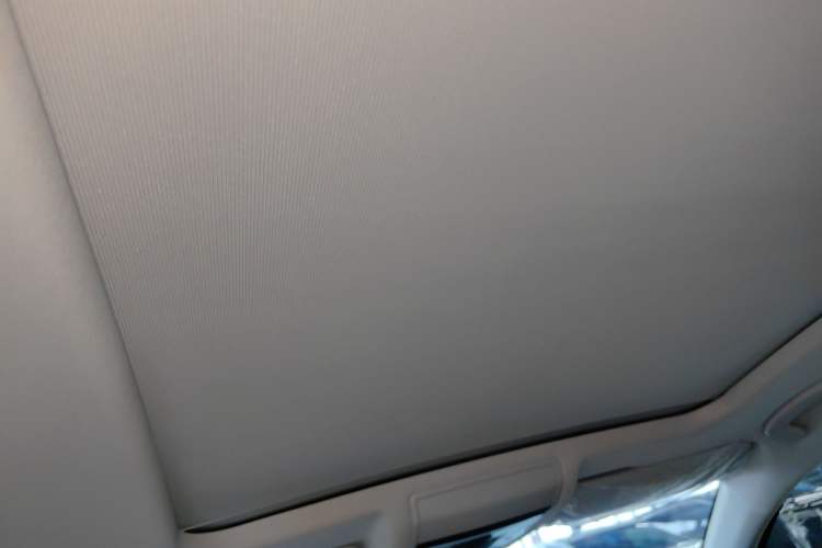 Used Volkswagen Passat New Energy 2020 430 PHEV Hybrid Luxury Edition China VI Standard Headliner