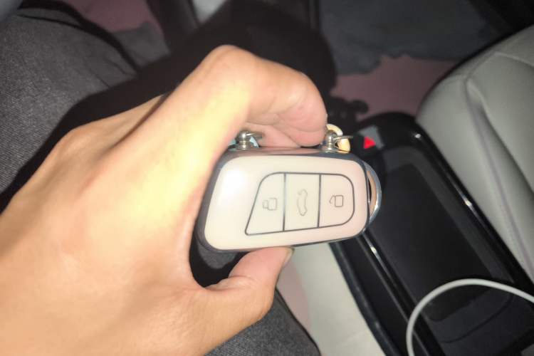 Used Chery Little Ant 2024 Facelifted 321km Beloved Edition Vehicle Key