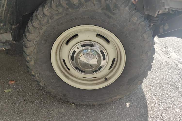 Used Tank 300 2021 2.0T Wind & Forest Iron Rider