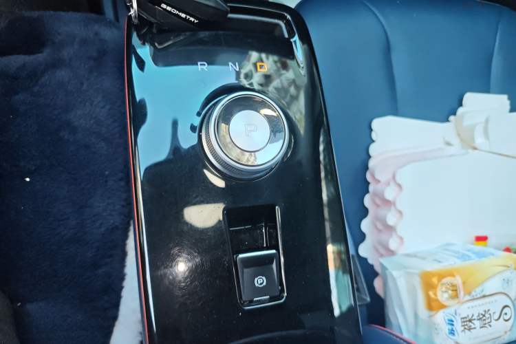 Used Geometry E 2022 320KM Cute Tiger 5-Seater Gear Lever