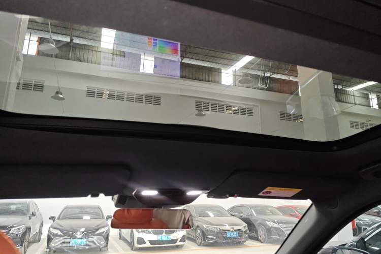 Used Li Auto L9 2023 Pro Model Headliner