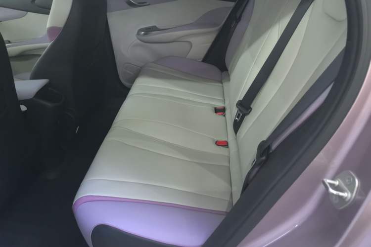 Used BYD Dolphin 2021 405 km Free Version
