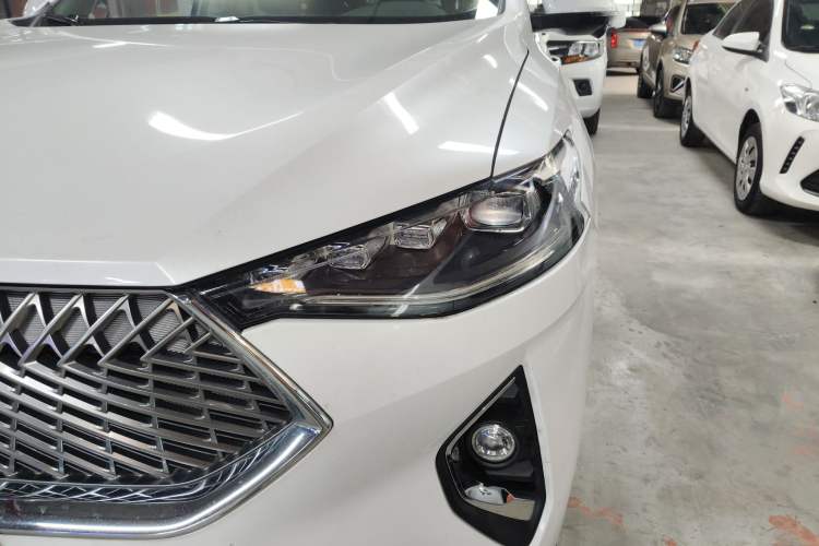 Used Haval F7 2021 1.5T Two-Wheel Drive i-Trend