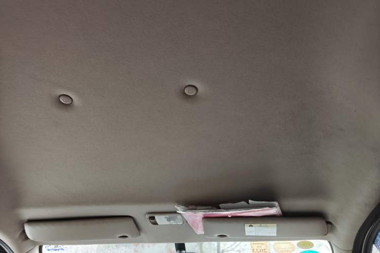 Used FORTHING Lingzhi 2020 M5L 1.6L Utility Model Headliner