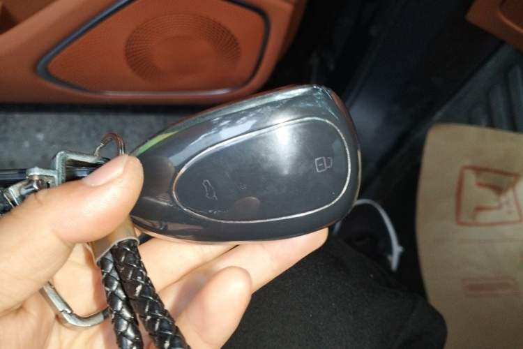 Used Wey Lanshan 2023 Four-Wheel Drive Ultra-Long Range Version
