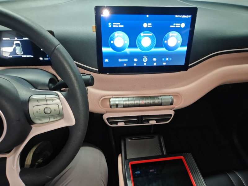 Used BYD Seagull 2023 Active Version — 12