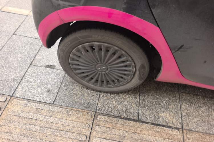 Used ORA Black Cat 2022 Updated Version 301 km Cute Pet Edition Lithium Iron Phosphate
