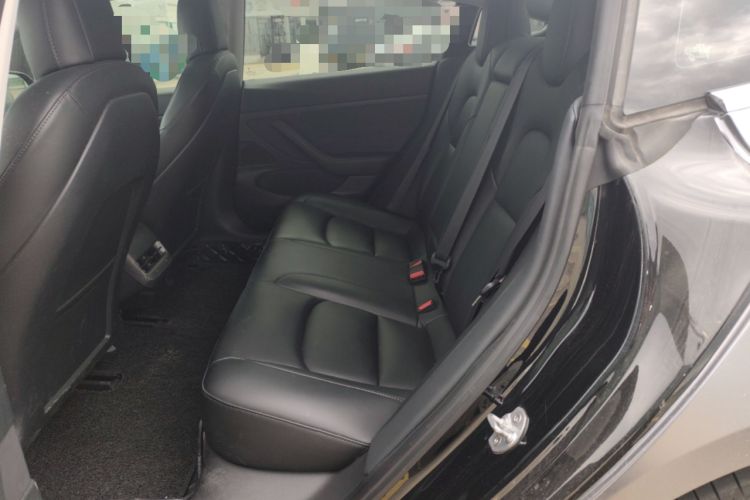 Used Tesla Model 3 2020 Standard Range Rear-Wheel Drive Upgraded Version Left Rear Seat