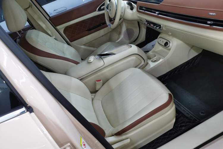 Used ORA Good Cat 2023 401 km Standard Range Luxury Version Lithium Iron Phosphate
