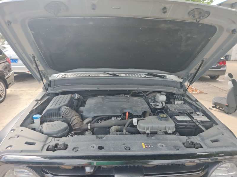 Used Tank 300 2024 2.0T Conqueror — 19