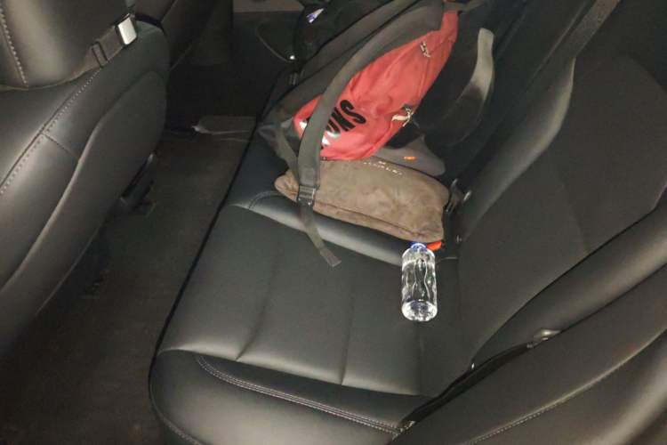 Used Tesla Model 3 2023 Rear-Wheel-Drive Version Left Rear Seat