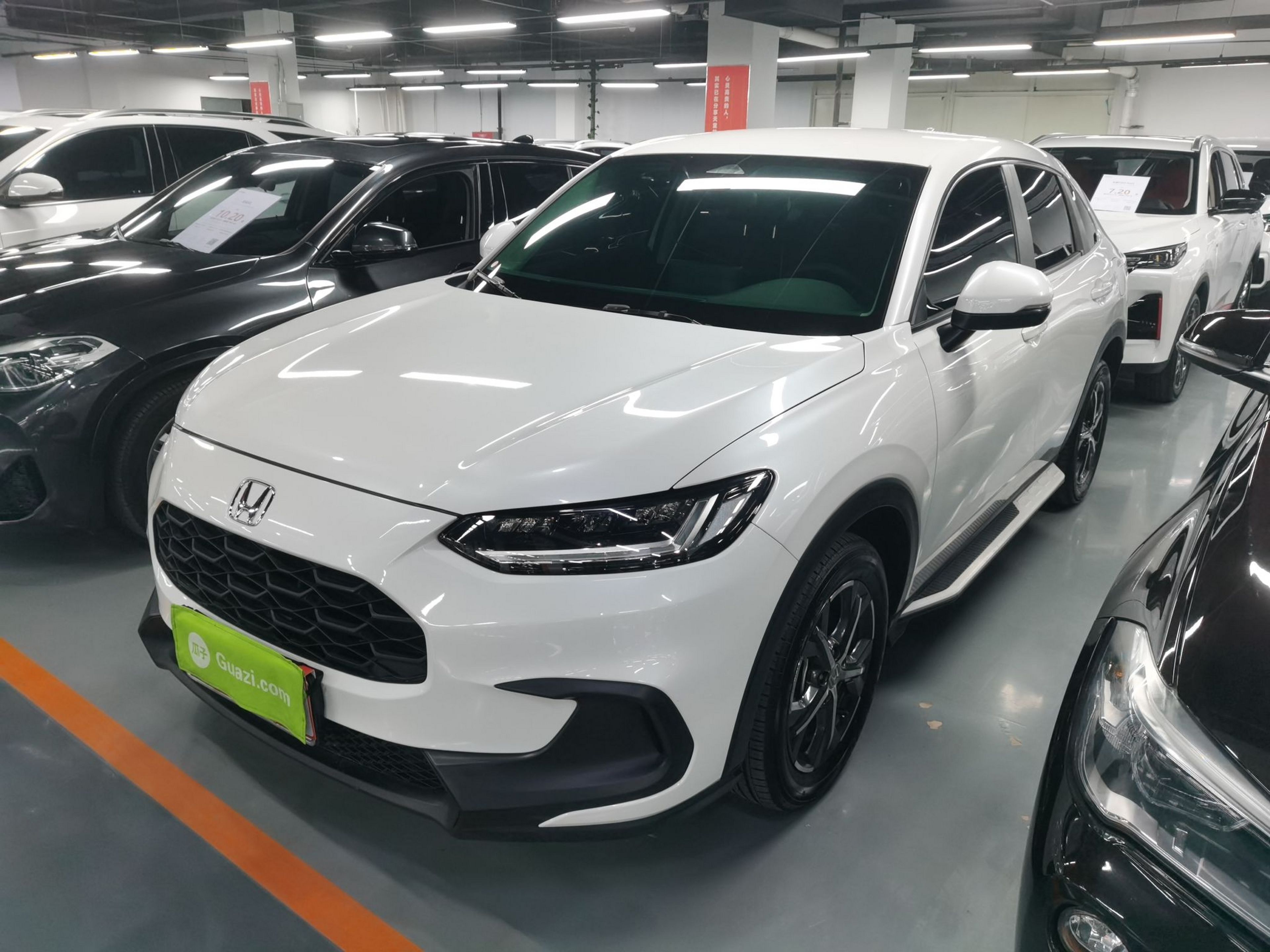 Parte inferior delantera