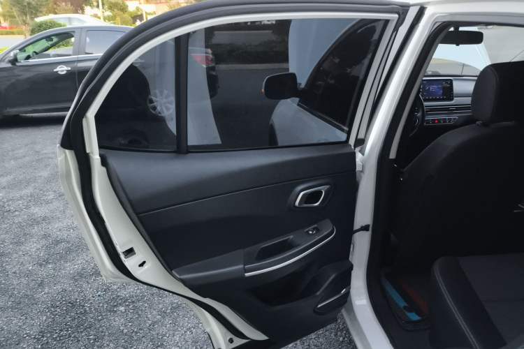 Used Dayun Yuehu 2022 30.66 kWh Two-Wheel Drive Standard Version
