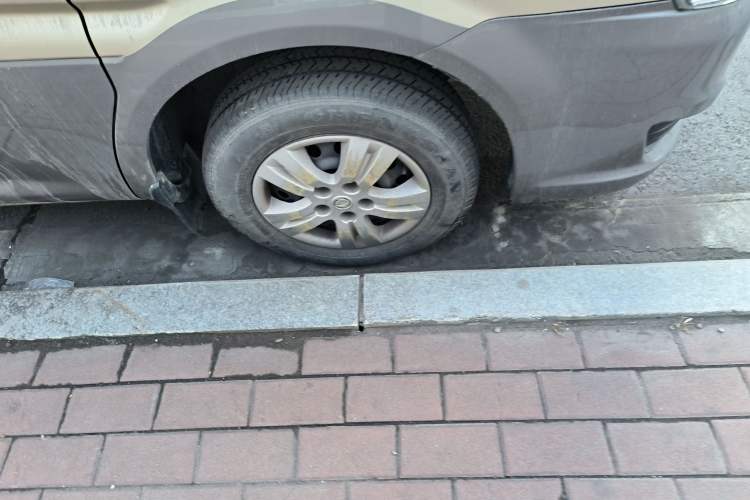 Used FORTHING Lingzhi 
