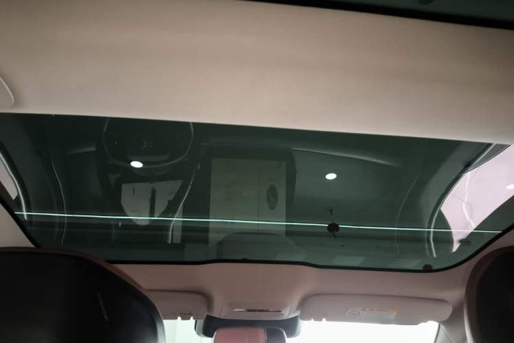 Used XPeng P7 2022 625E Headliner