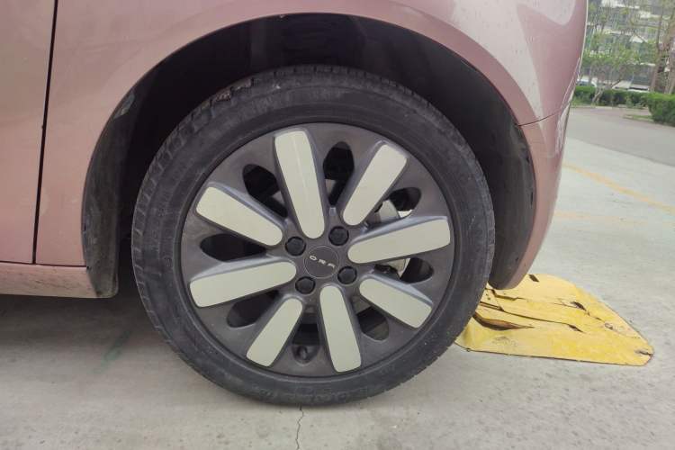 Used ORA Black Cat 2019 351 km Goddess Edition
