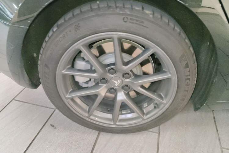 Used Tesla Model 3 2021 Standard Range Rear-Wheel Drive Upgraded Version 3D6 Exterior 5