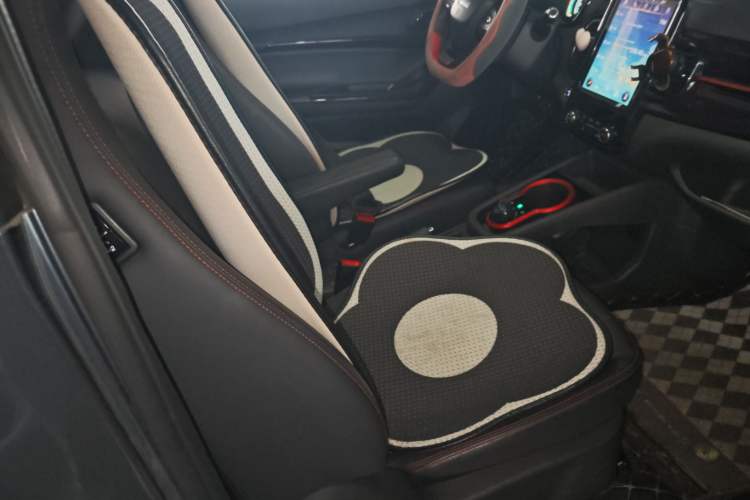 Used Chery Little Ant 2022 Sweet Pink Edition Low-Sugar Version Lithium Iron Phosphate 30 kW 301 km