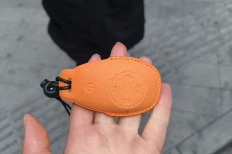 Used Leapmotor T03 2022 YAOJIN Edition