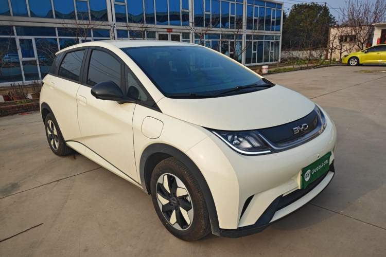 Used BYD Dolphin 2025 420km Free Edition
