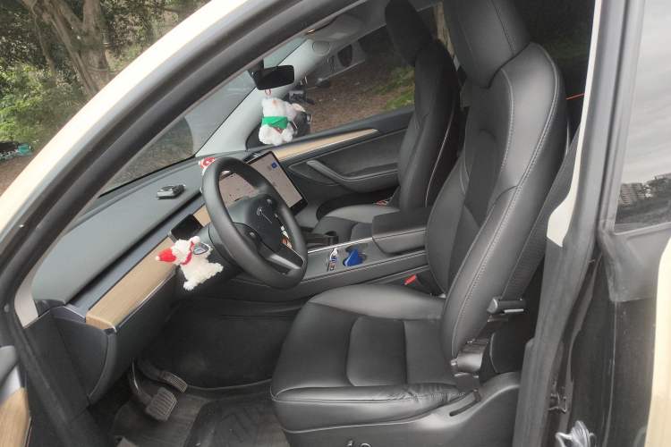 Used Tesla Model Y 2021 Standard Range Rear-Wheel Drive Version Left Front Seat