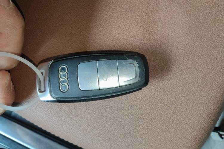 Used Audi Q8 2019 55 TFSI Luxury Dynamic Model