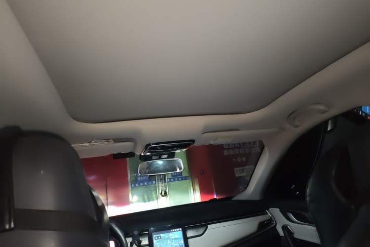 Used WM Motor EX5 2020 EX5-Z Nex Exploration Edition Headliner