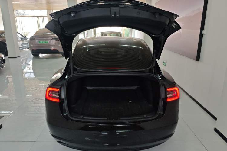 Used Tesla Model 3 2021 Standard Range Rear-Wheel Drive Upgraded Version 3D6